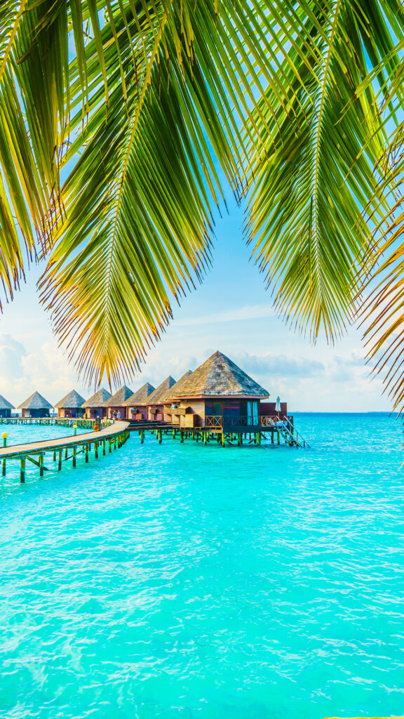bahamas